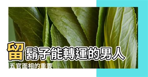 鬍鬚面相|留鬍鬚改運？面相大揭秘